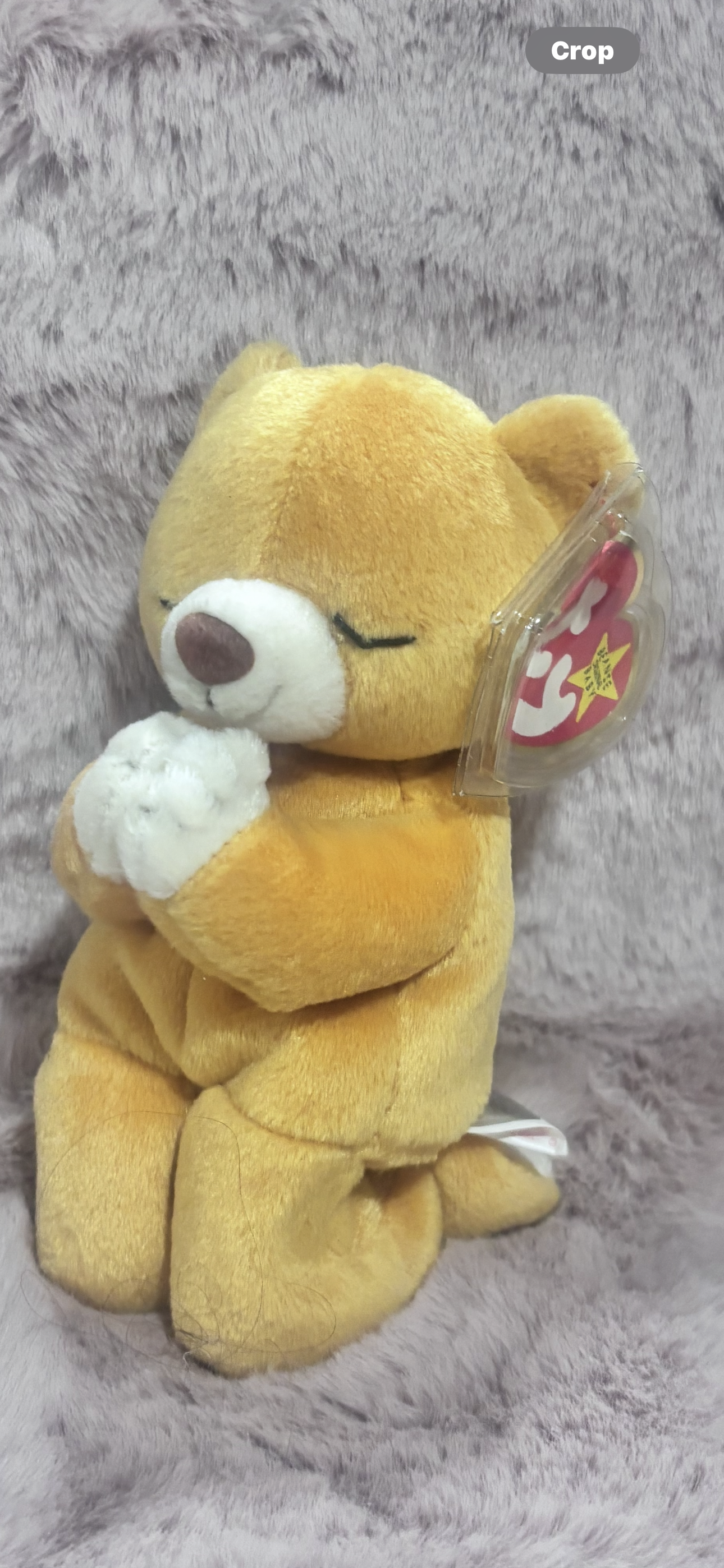 TY Beanie Baby “Hope” Praying Bear – Sweet Keepsake