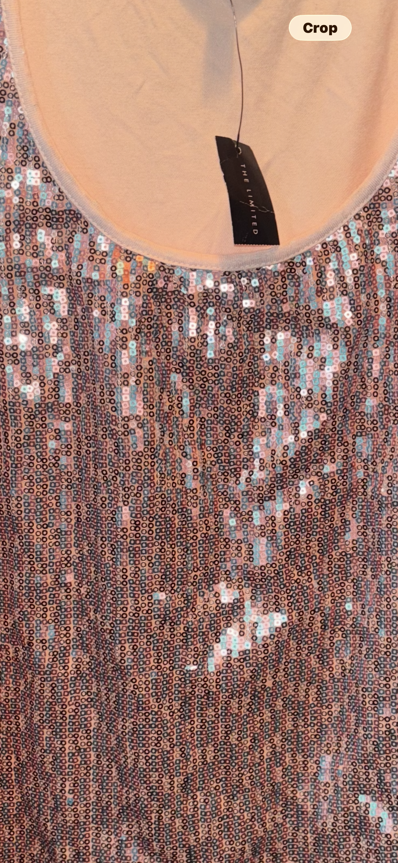 The Limited Sequin Tank Top – XS – New With Tags