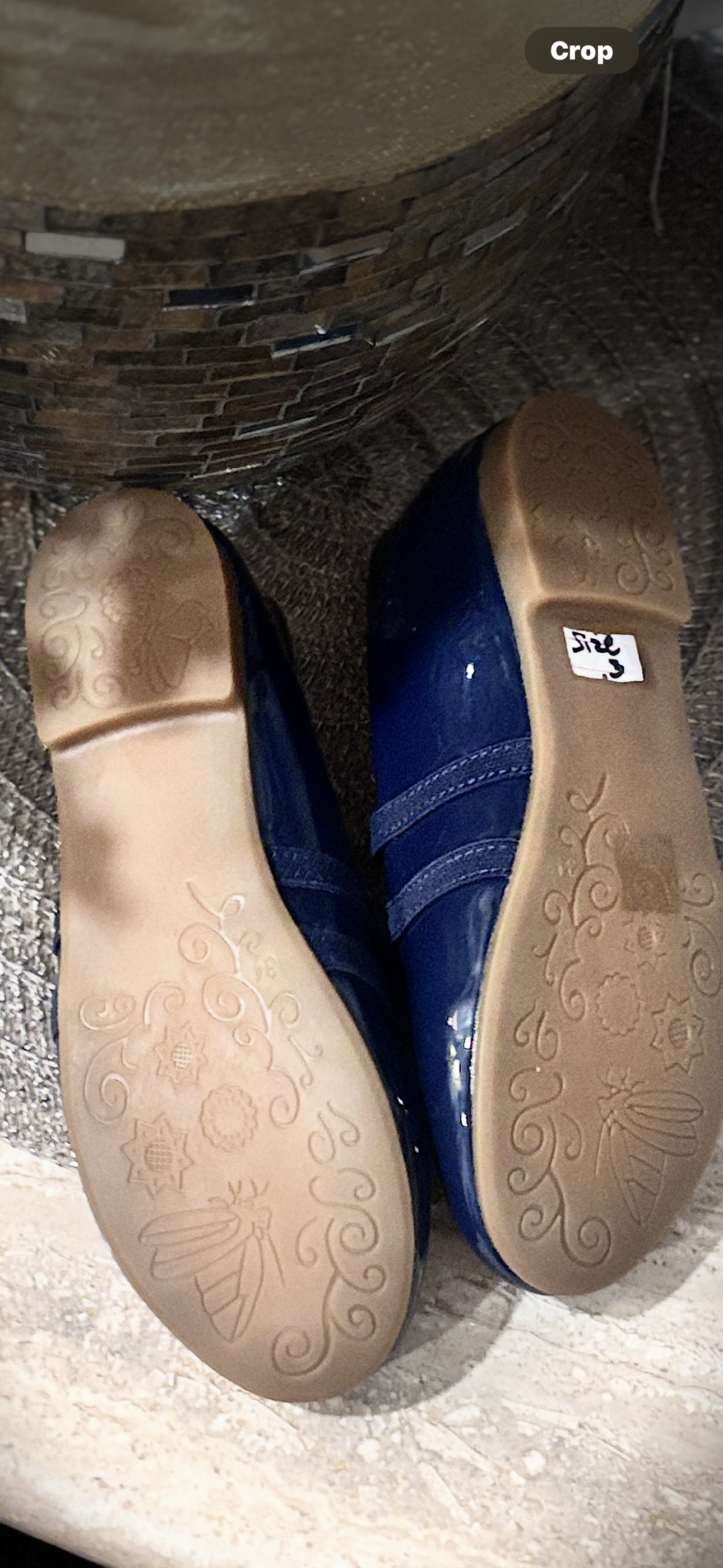 BONUS INCLUDED! Girls Navy Patent Mary Jane Dress Shoes Size 3 + Sparkly Plush C