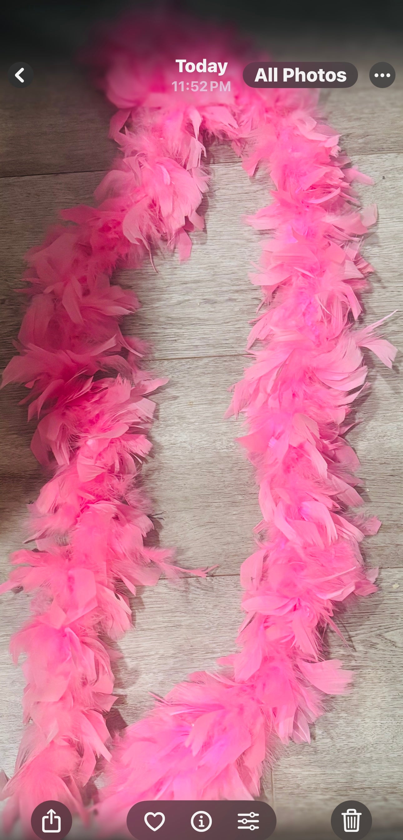 Pink Feather Boa