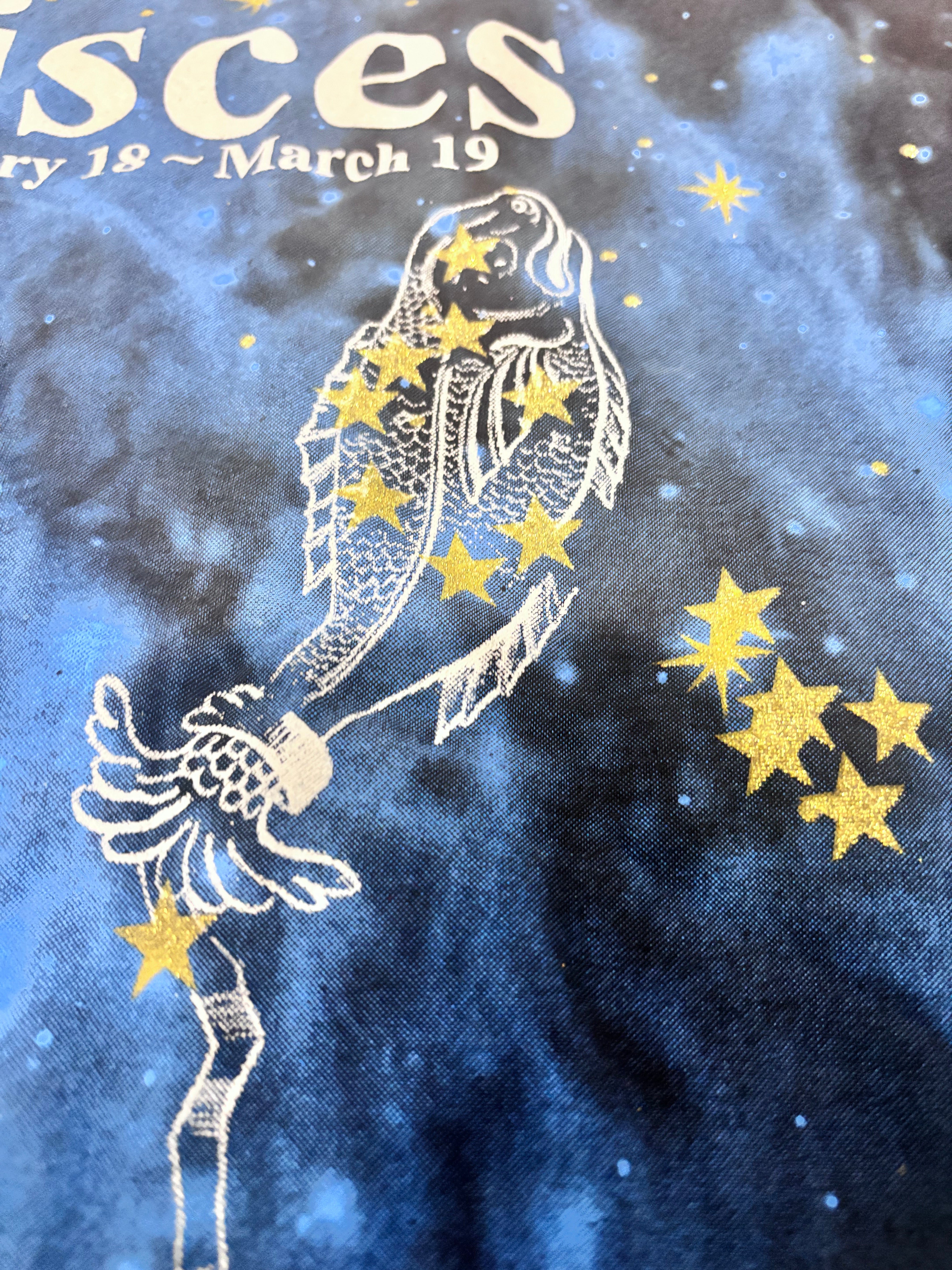 Pisces Zodiac T-Shirt size 4xL