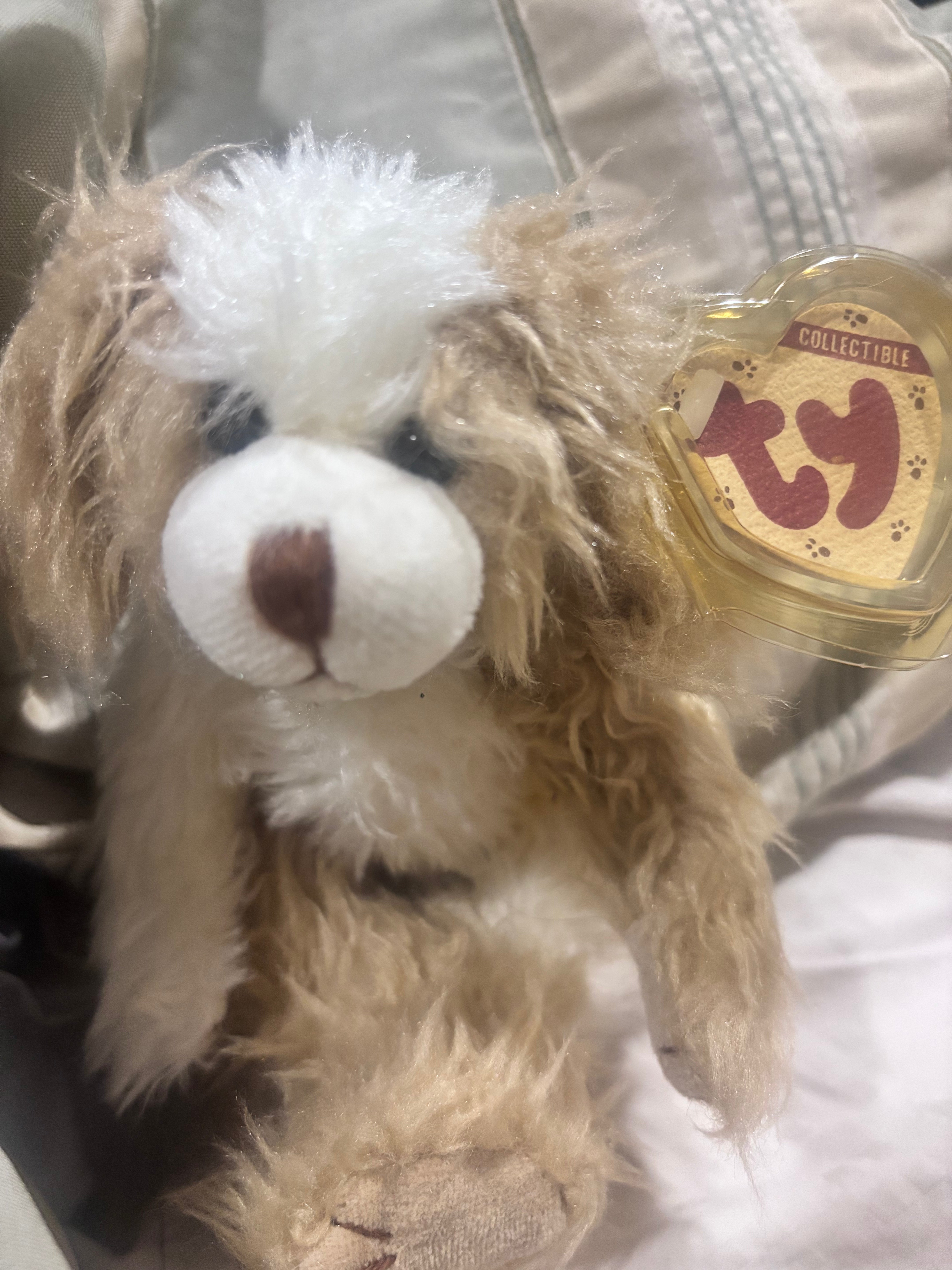 TY Collectible Plush – Soft scruffy/ – 8” – Tag Attached