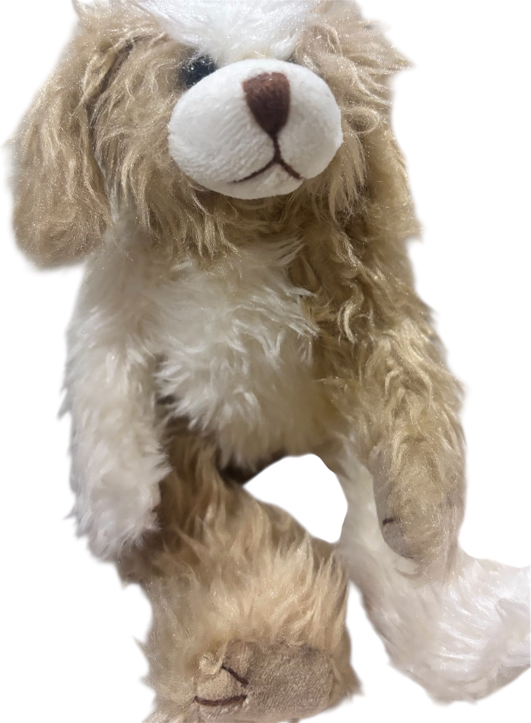 TY Collectible Plush – Soft scruffy/ – 8” – Tag Attached