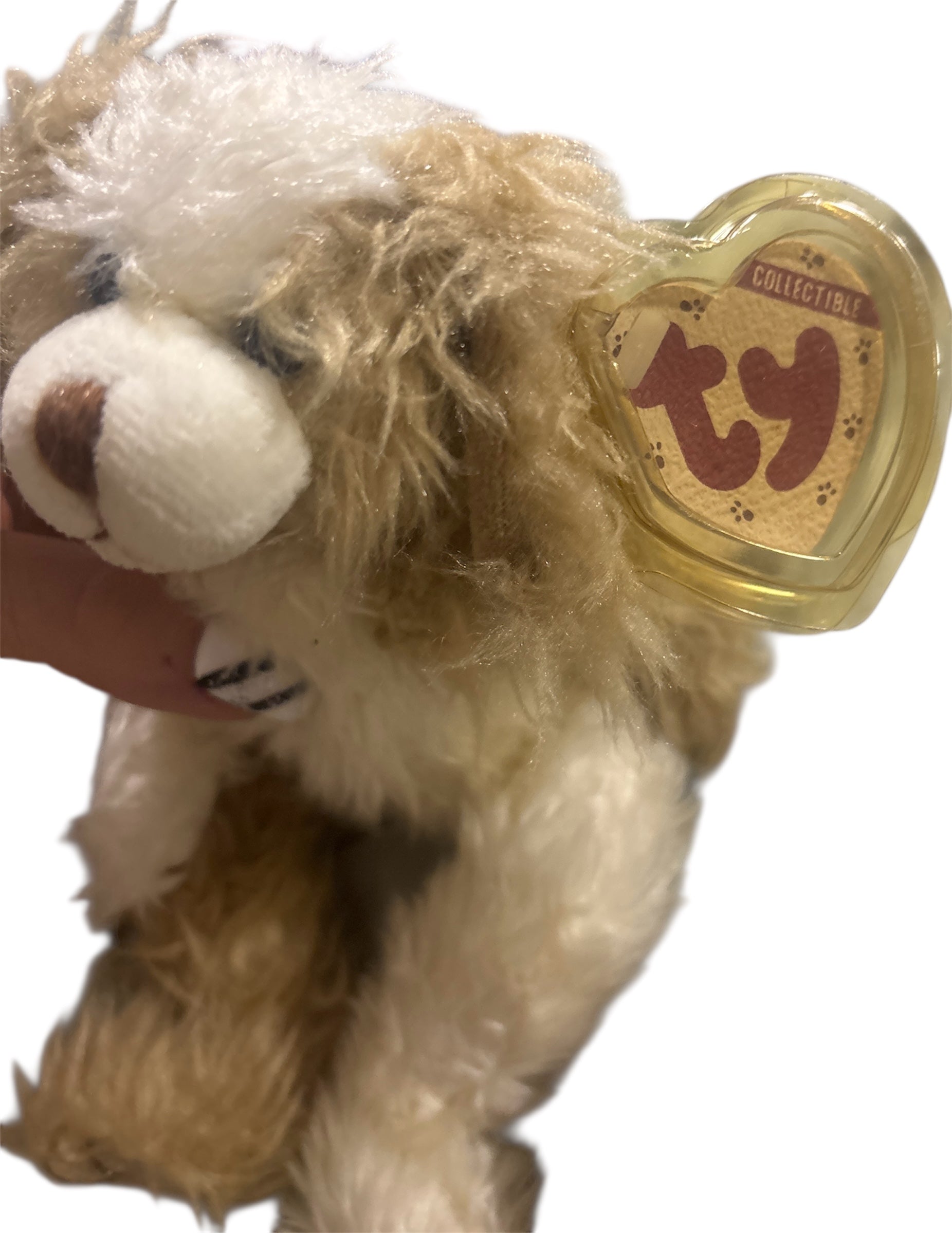 TY Collectible Plush – Soft scruffy/ – 8” – Tag Attached